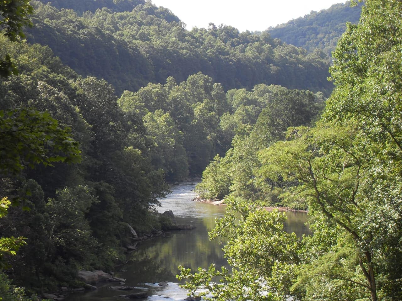 E-bike trail through Mid-Atlantic woodland