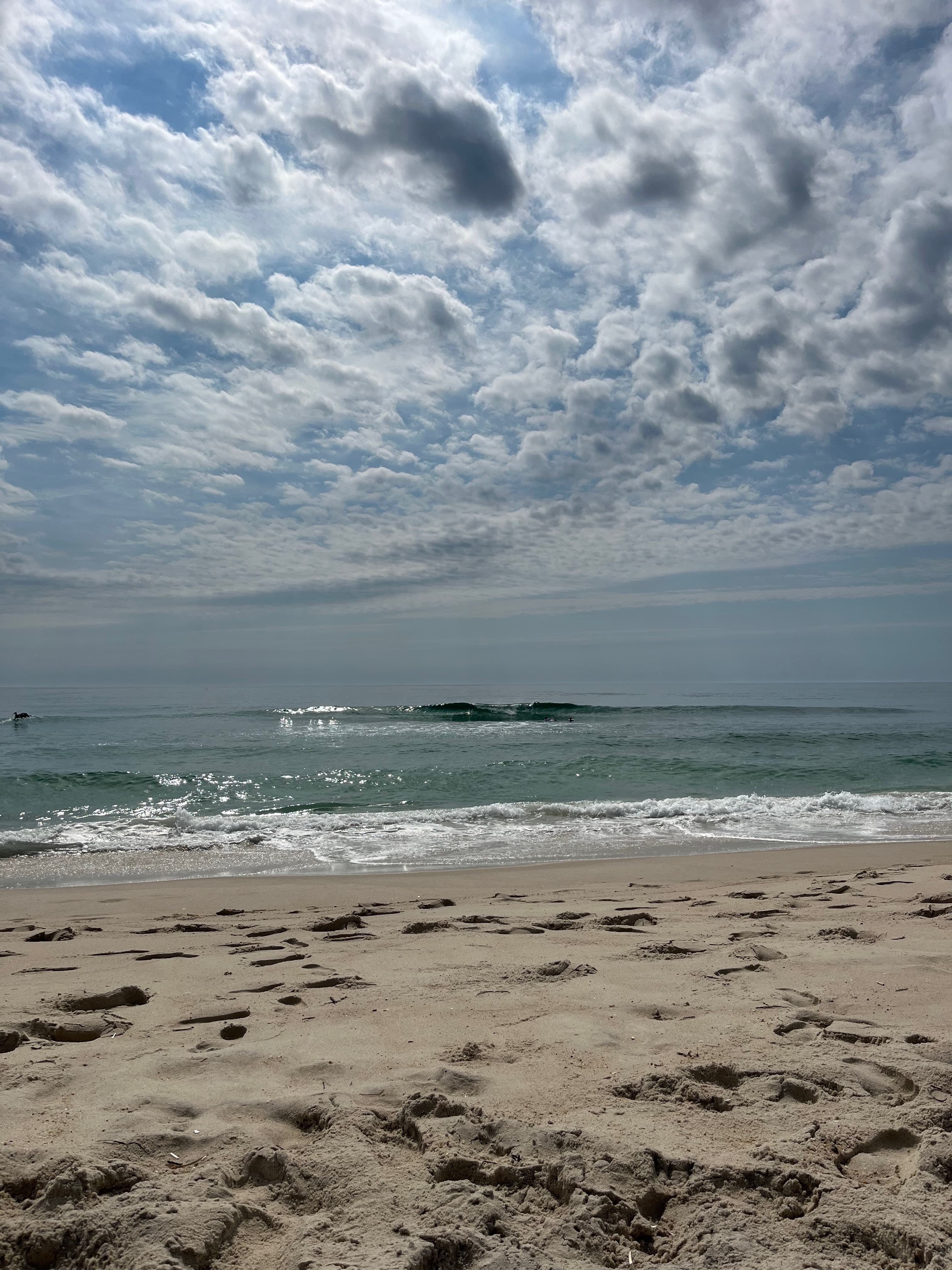 Assateague Island National Seashore dunes and maritime forest, Maryland